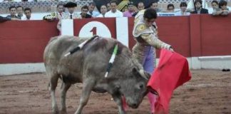 Miguel A. Perera en San Cristóbal. (FOTO: Jorge Cepeda/Burladero.com)